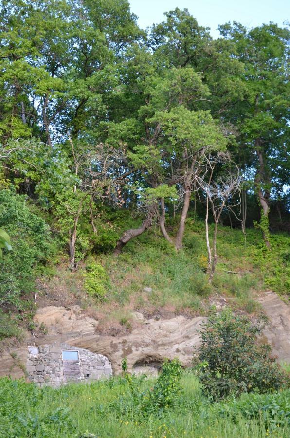 Casa Sorgente Διαμέρισμα Montefiascone Εξωτερικό φωτογραφία