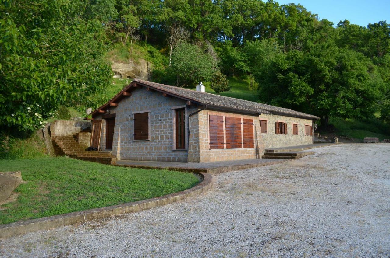 Casa Sorgente Διαμέρισμα Montefiascone Εξωτερικό φωτογραφία
