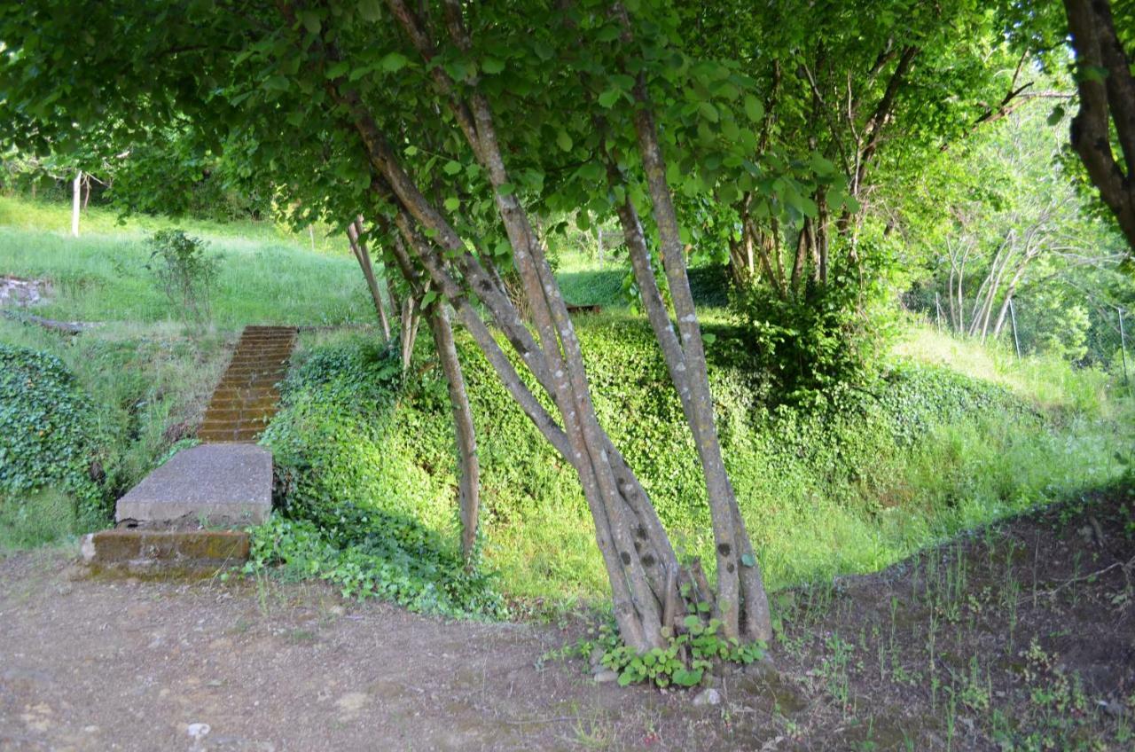 Casa Sorgente Διαμέρισμα Montefiascone Εξωτερικό φωτογραφία