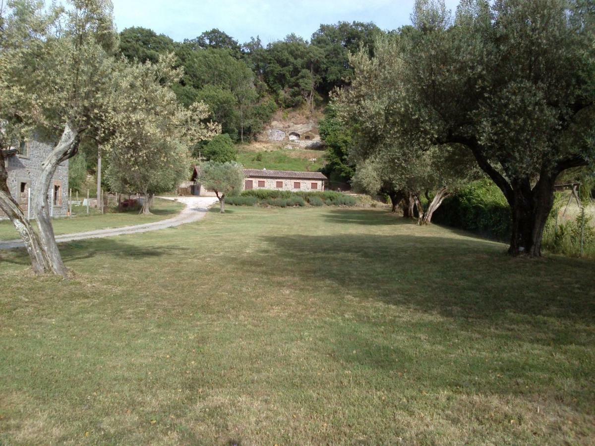 Casa Sorgente Διαμέρισμα Montefiascone Εξωτερικό φωτογραφία