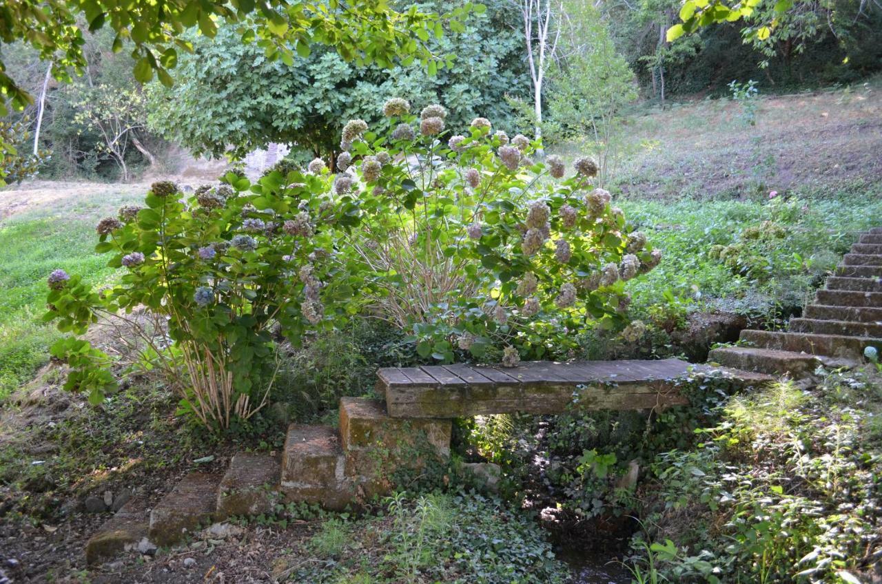 Casa Sorgente Διαμέρισμα Montefiascone Εξωτερικό φωτογραφία
