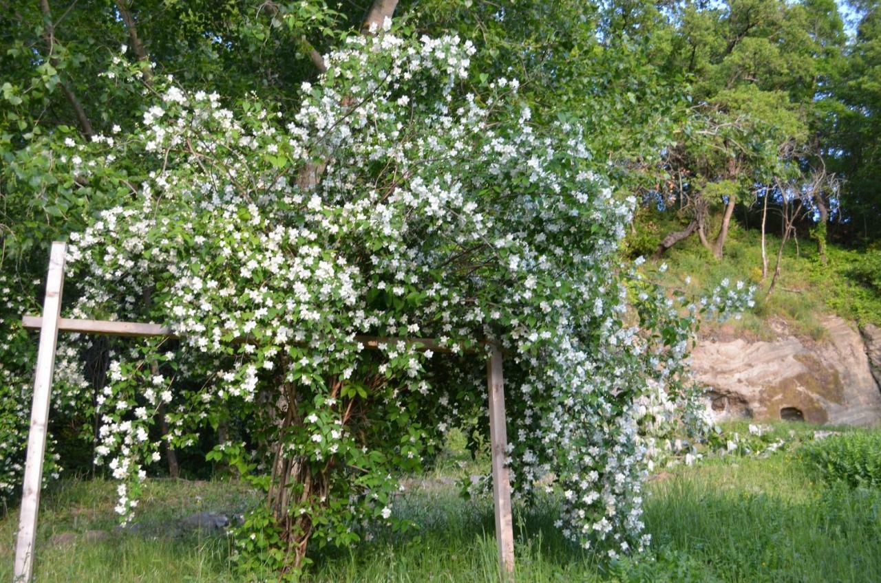 Casa Sorgente Διαμέρισμα Montefiascone Εξωτερικό φωτογραφία
